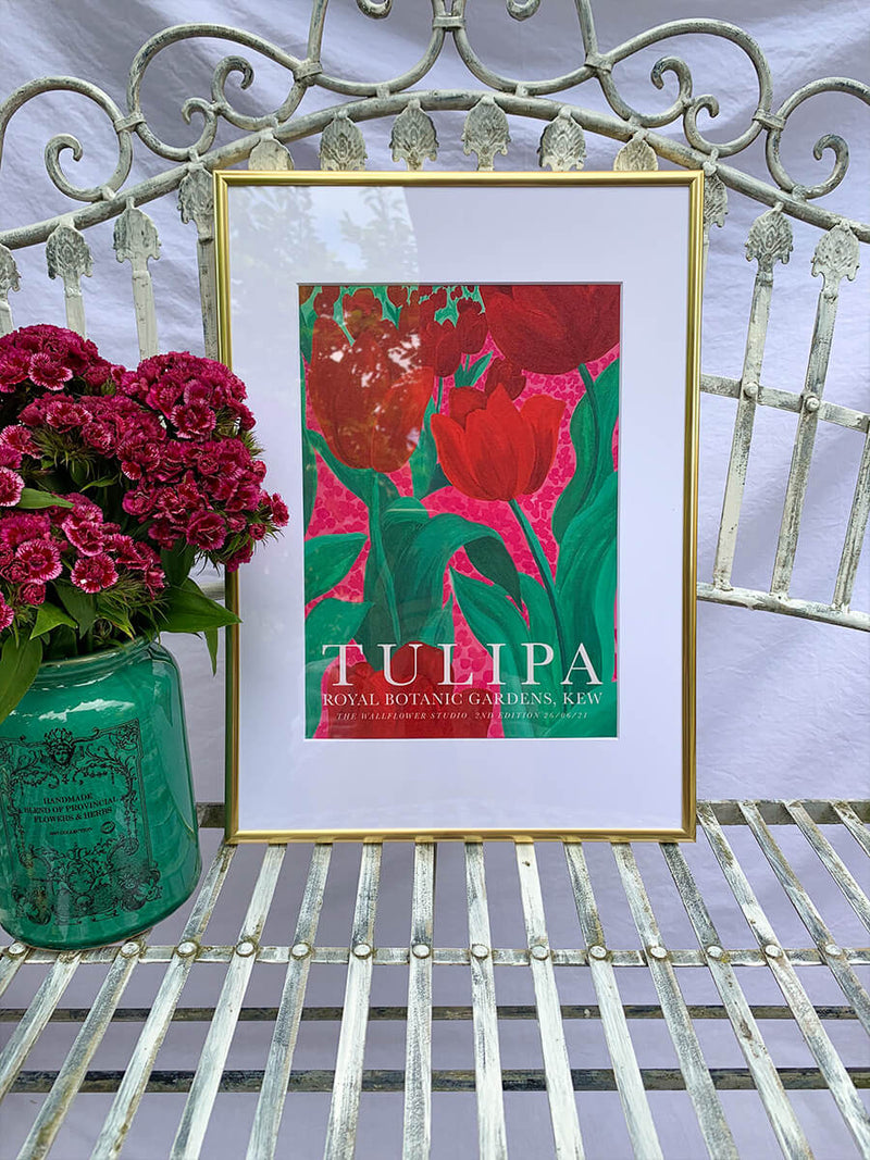 Tulipa 2nd Edition A4 & A3 Print